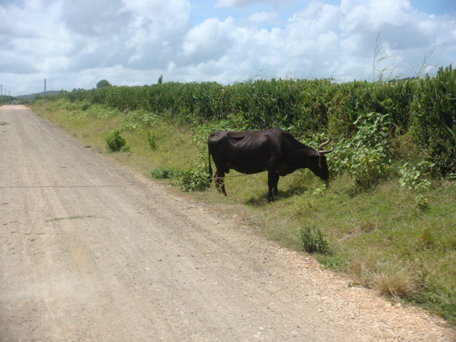 cuba-3